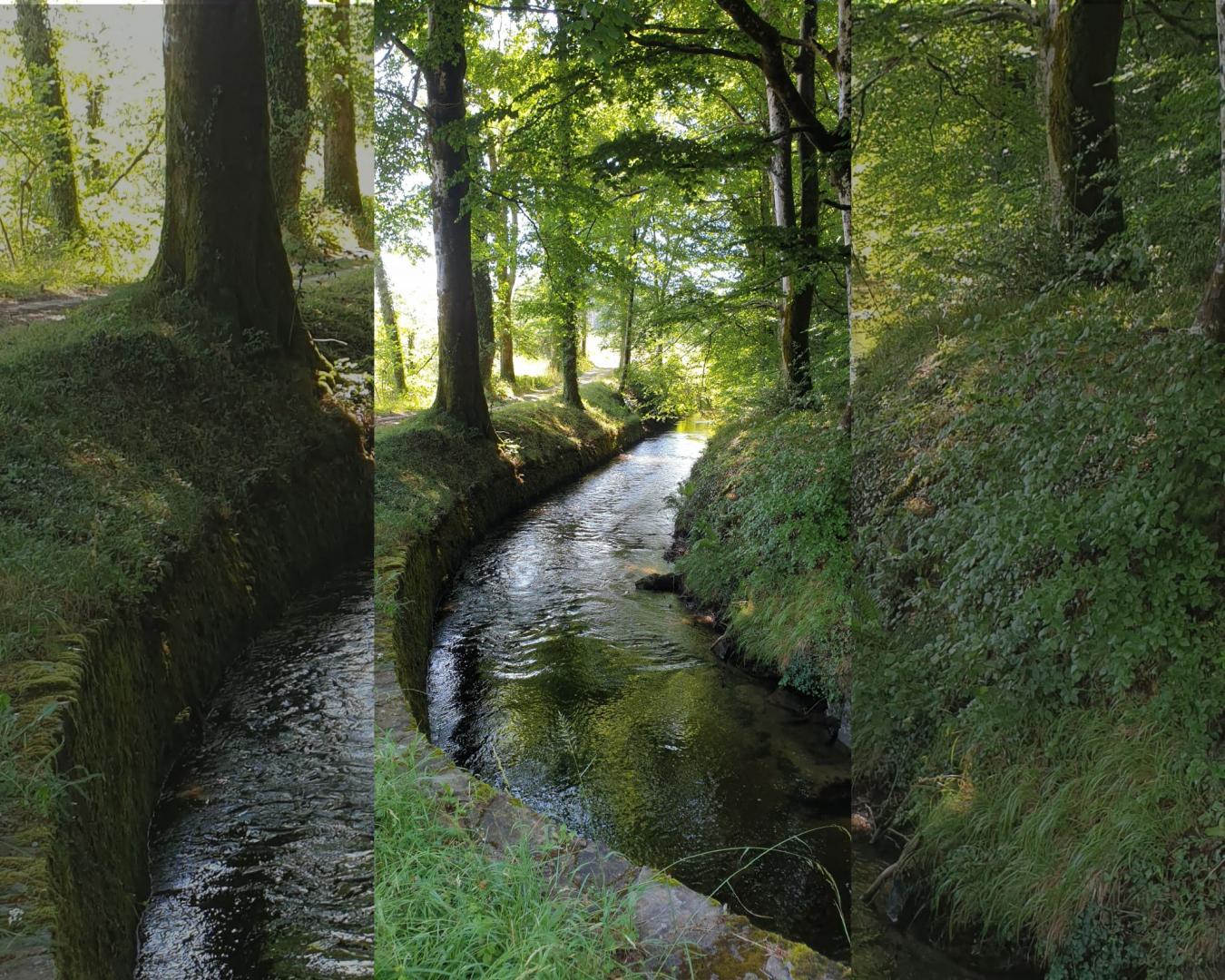 La Rigole du canal du Midi fraîcheur et ombre garanties dans de belles