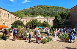 FETE DES PLANTES ET DES MASSIFS