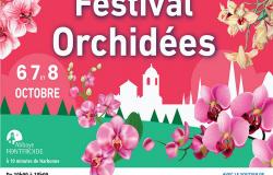 Orchidées à Fontfroide 2023