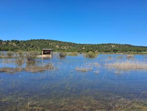 Observatoire ornithologique