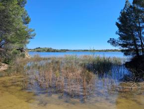 vue sur le sud du lac