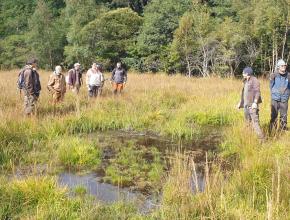 Visite de la fin des travaux de la tourbière des Moussels