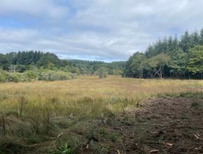 Les travaux terminés, vu générale de la tourbière