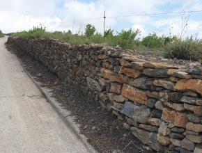  muret restauré dans le vignoble de Cascastel-des-Corbières, en faveur du lézard ocellé