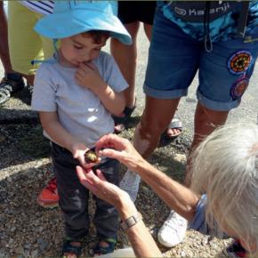 Petit garçon tenant une grenouille dans sa main.