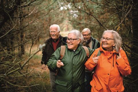 personnes âgées en train de se balader en forêt.