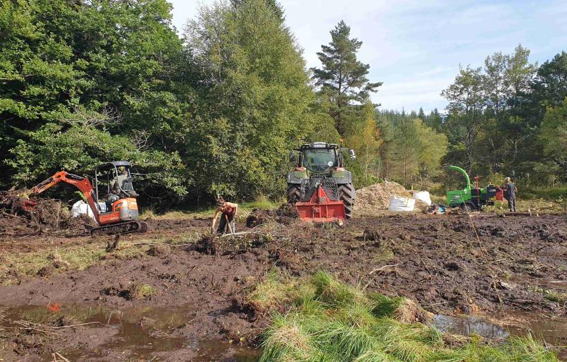 chantier de restauration de la tourbière des Moussels