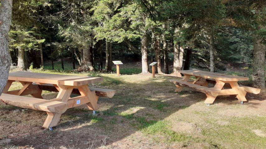 Deux tables de pique-nique à l'aire d'accueil forêt départementale Bac Pégullier