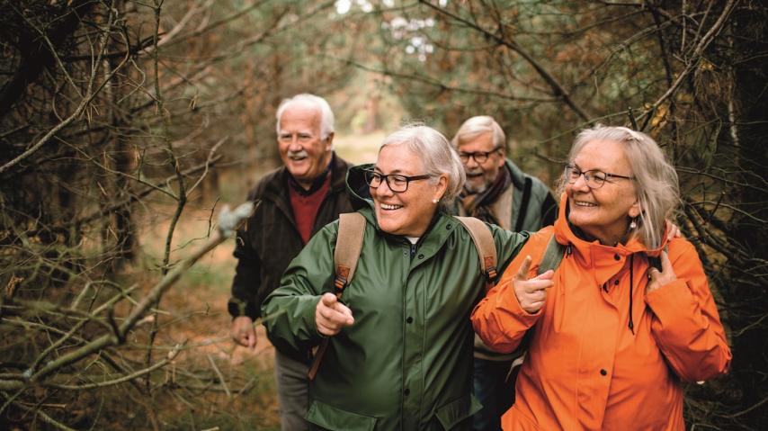 personnes âgées en train de se balader en forêt.